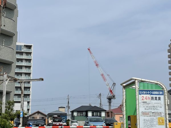 すこーし、雲りがちですが、暖かいです！