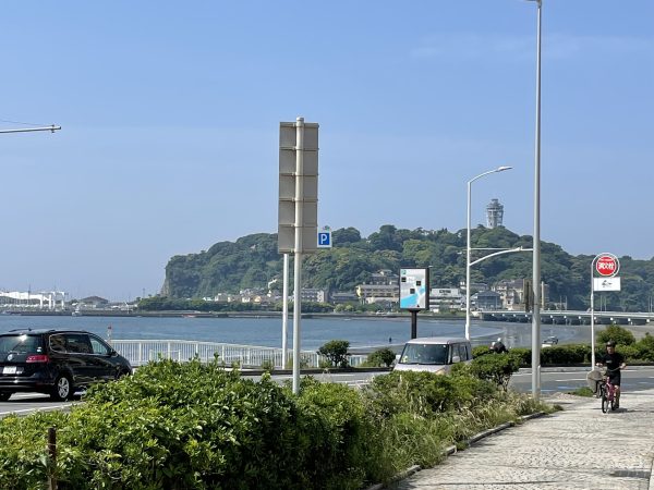 今日も夏日ですね！