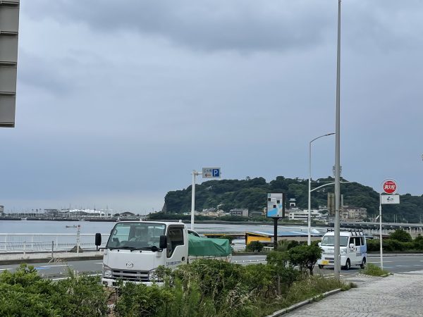 どんより梅雨ですね！