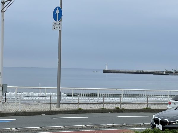 どんより梅雨ですね！