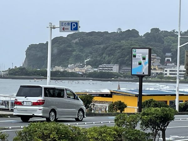 今日も波乗りですよ！