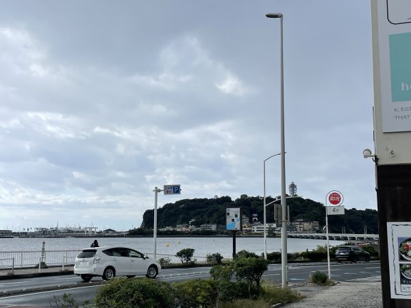 朝から雨、今は上がりました！