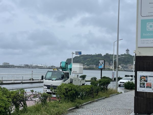 雨で、台風のウネリはまだです！