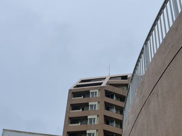 雨で、台風のウネリはまだです！