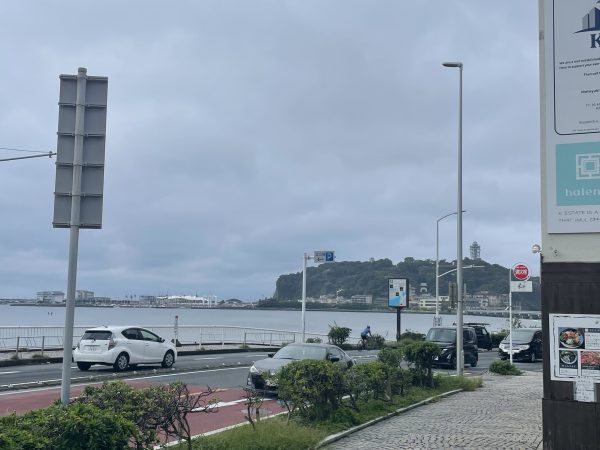 今日も雨模様