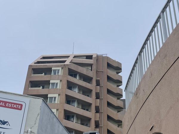 朝から小雨