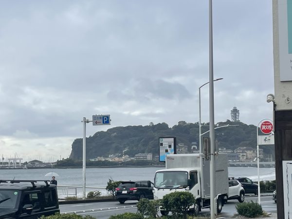 朝から冷たい雨☔️