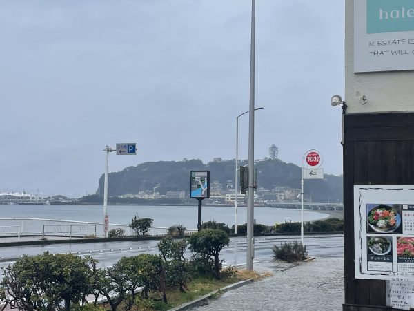 朝から冷たい雨！