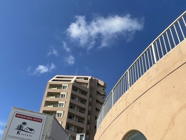 朝からポカポカ