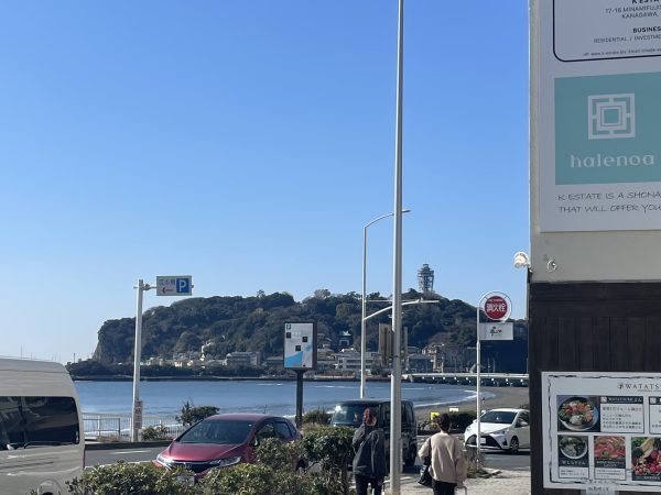 暖かい日差し