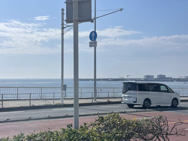 今日もポカポカしてます